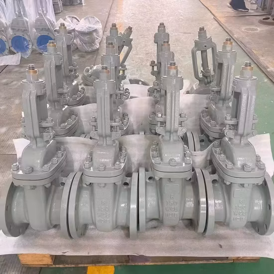 Задвижка API 600/ASME B16.34 A216 Wcb CF8 CF8m Lcb Lcc